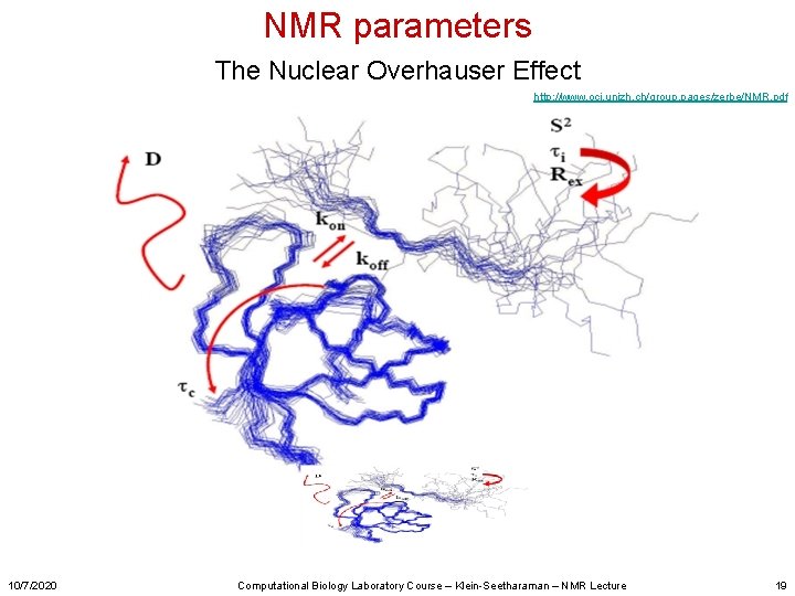 NMR parameters The Nuclear Overhauser Effect http: //www. oci. unizh. ch/group. pages/zerbe/NMR. pdf 10/7/2020