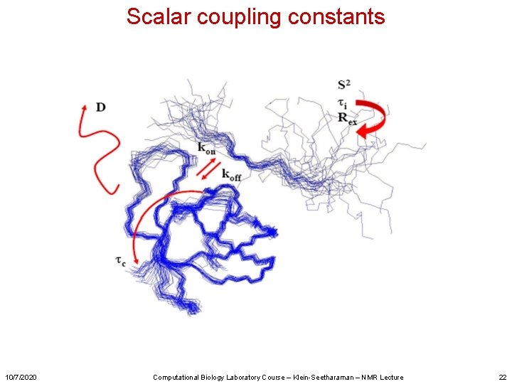 Scalar coupling constants 10/7/2020 Computational Biology Laboratory Course – Klein-Seetharaman – NMR Lecture 22