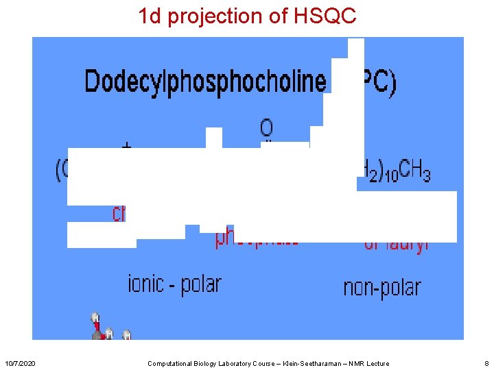 1 d projection of HSQC 10/7/2020 Computational Biology Laboratory Course – Klein-Seetharaman – NMR