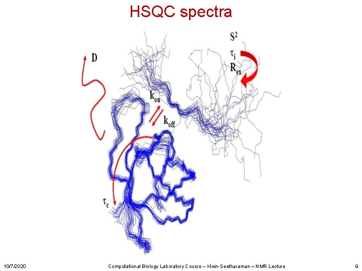 HSQC spectra 10/7/2020 Computational Biology Laboratory Course – Klein-Seetharaman – NMR Lecture 9 