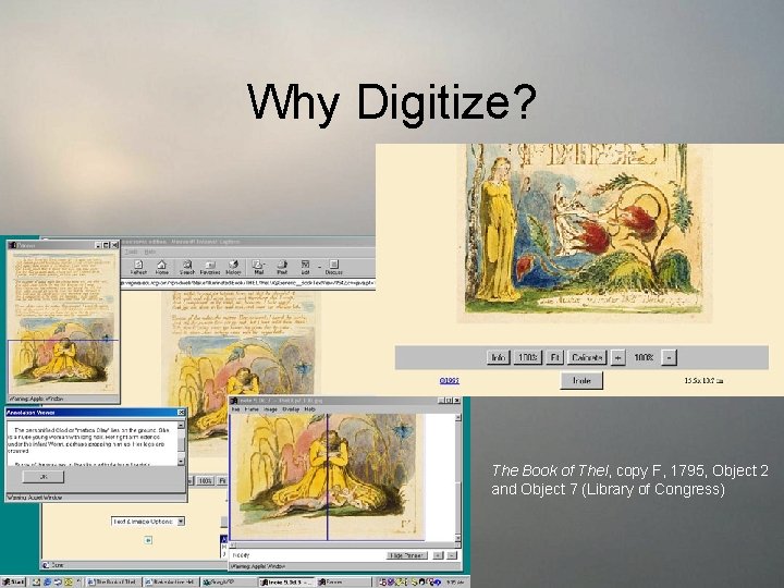 Why Digitize? The Book of Thel, copy F, 1795, Object 2 and Object 7