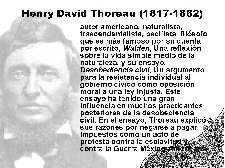 Henry David Thoreau (1817 -1862) autor americano, naturalista, trascendentalista, pacifista, filósofo que es más