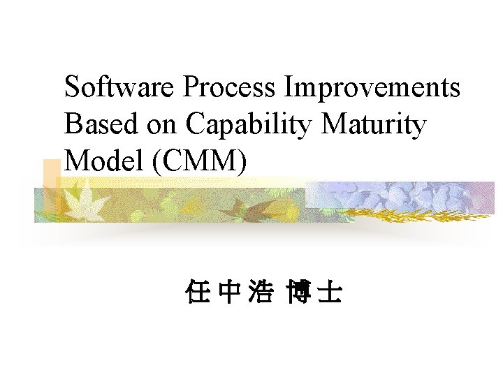 Software Process Improvements Based on Capability Maturity Model (CMM) 任中浩 博士 