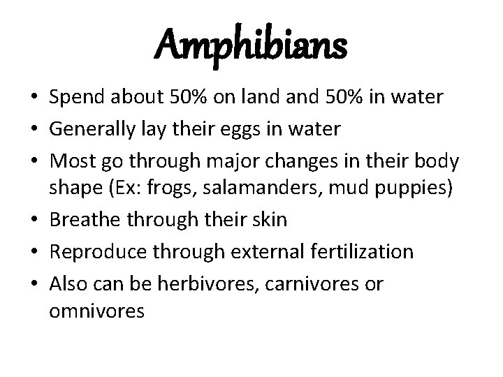 Amphibians • Spend about 50% on land 50% in water • Generally lay their