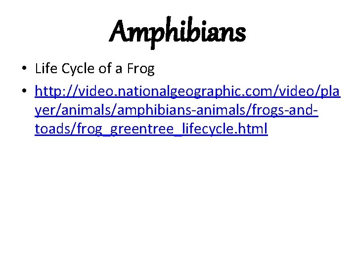 Amphibians • Life Cycle of a Frog • http: //video. nationalgeographic. com/video/pla yer/animals/amphibians-animals/frogs-andtoads/frog_greentree_lifecycle. html