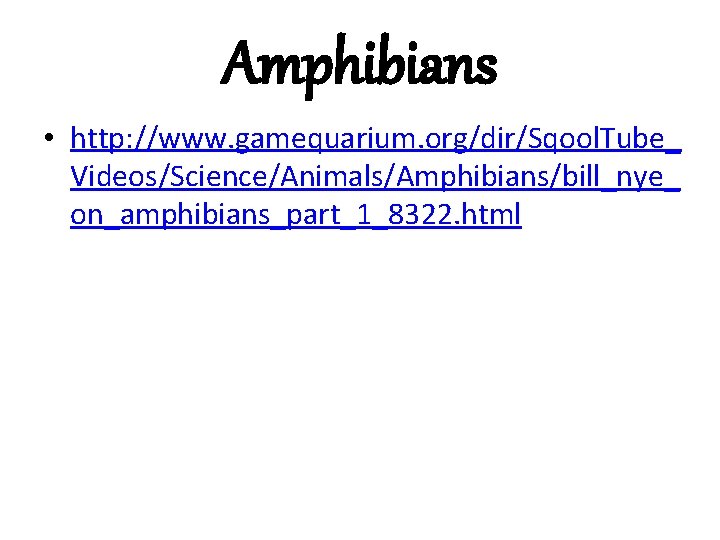 Amphibians • http: //www. gamequarium. org/dir/Sqool. Tube_ Videos/Science/Animals/Amphibians/bill_nye_ on_amphibians_part_1_8322. html 