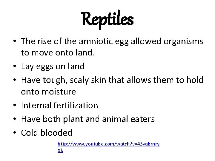 Reptiles • The rise of the amniotic egg allowed organisms to move onto land.