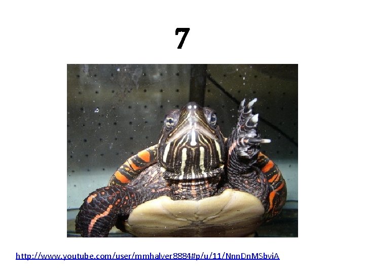 7 http: //www. youtube. com/user/mmhalver 8884#p/u/11/Nnn. Dn. MSbvi. A 