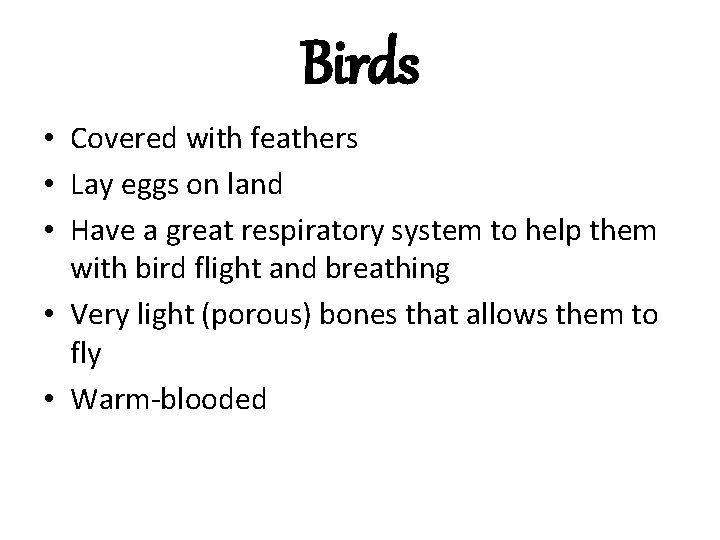 Birds • Covered with feathers • Lay eggs on land • Have a great