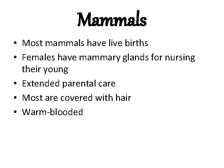 Mammals • Most mammals have live births • Females have mammary glands for nursing