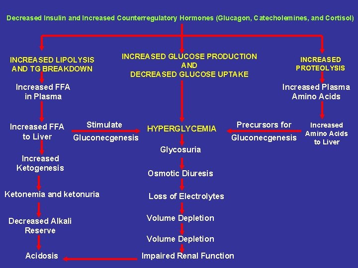 Decreased Insulin and Increased Counterregulatory Hormones (Glucagon, Catecholemines, and Cortisol) INCREASED LIPOLYSIS AND TG