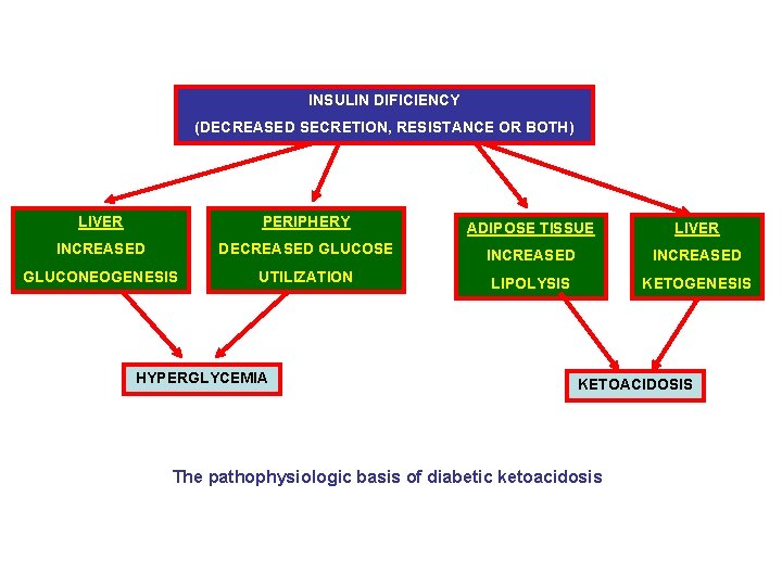 INSULIN DIFICIENCY (DECREASED SECRETION, RESISTANCE OR BOTH) LIVER PERIPHERY ADIPOSE TISSUE LIVER INCREASED DECREASED
