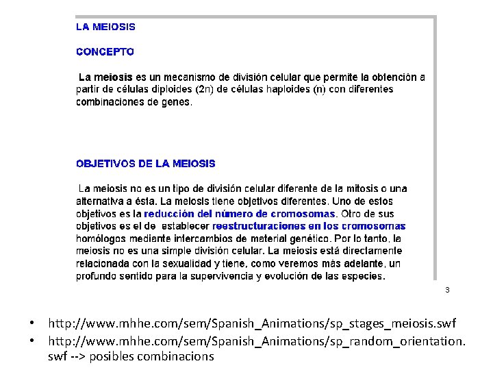 Meiosis • http: //www. mhhe. com/sem/Spanish_Animations/sp_stages_meiosis. swf • http: //www. mhhe. com/sem/Spanish_Animations/sp_random_orientation. swf -->