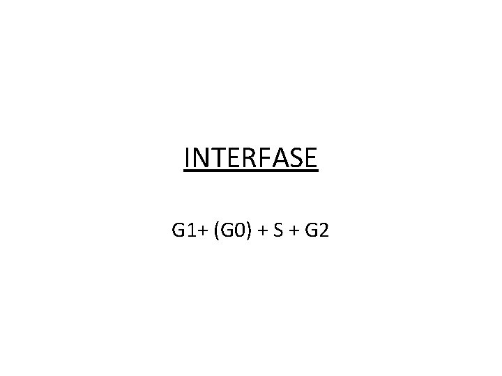 INTERFASE G 1+ (G 0) + S + G 2 