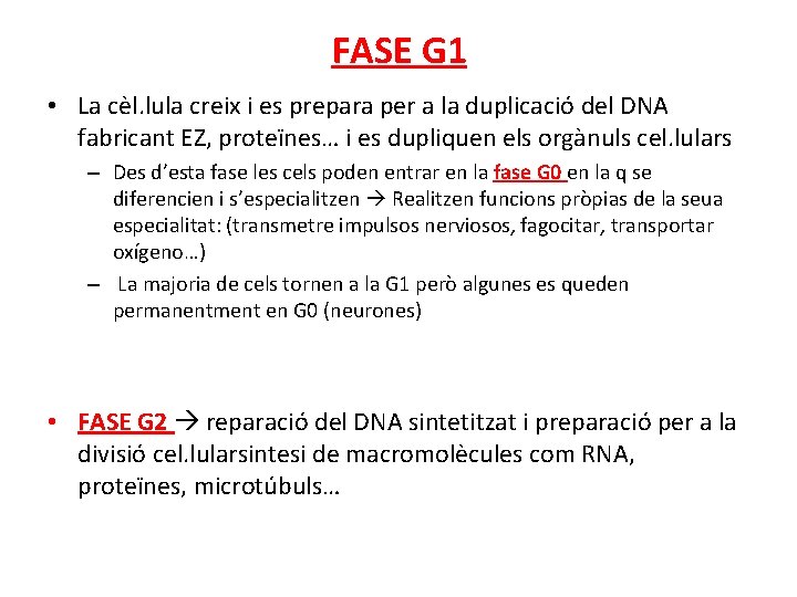 FASE G 1 • La cèl. lula creix i es prepara per a la