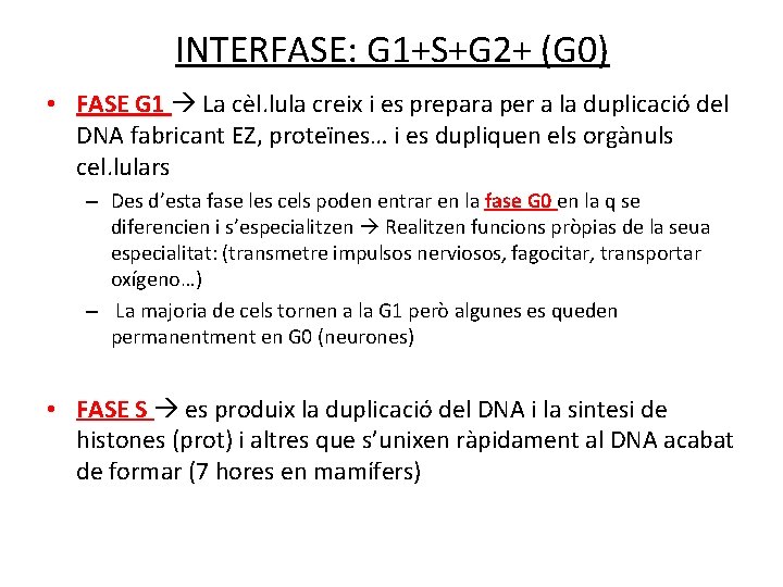 INTERFASE: G 1+S+G 2+ (G 0) • FASE G 1 La cèl. lula creix
