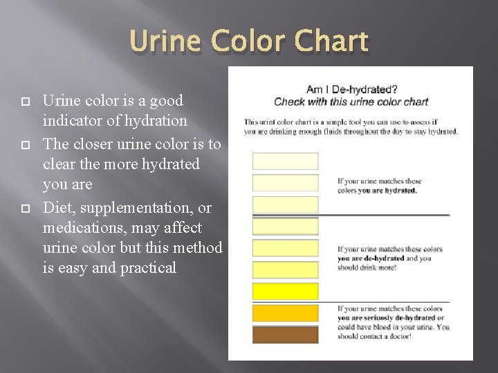 Urine Color Chart Urine color is a good indicator of hydration The closer urine