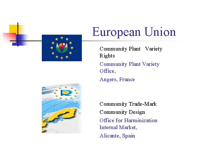 European Union Community Plant Variety Rights Community Plant Variety Office, Angers, France Community Trade-Mark