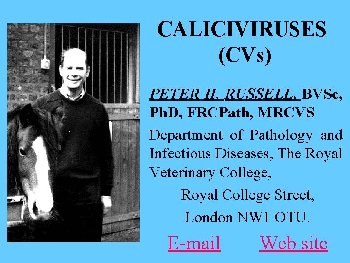 CALICIVIRUSES (CVs) PETER H. RUSSELL, BVSc, Ph. D, FRCPath, MRCVS Department of Pathology and
