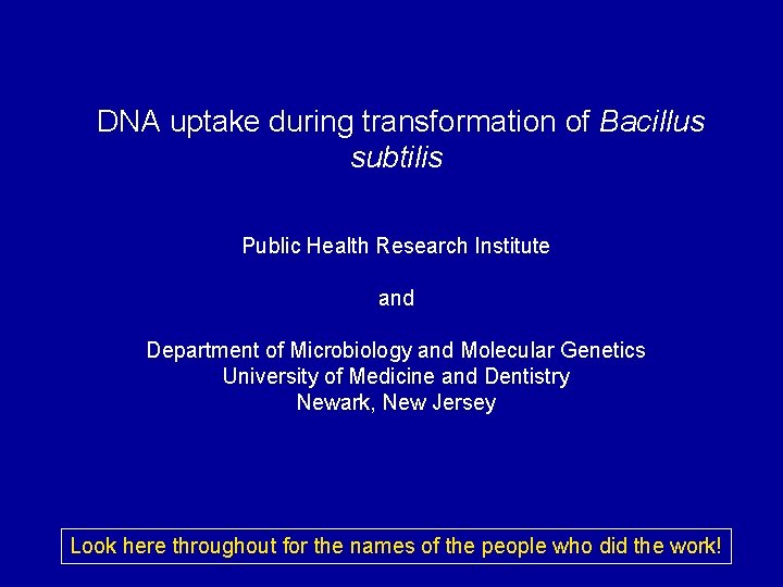 DNA uptake during transformation of Bacillus subtilis Public Health Research Institute and Department of