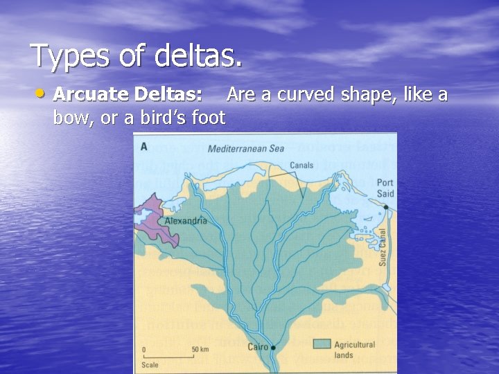 Types of deltas. • Arcuate Deltas: Are a curved shape, like a bow, or