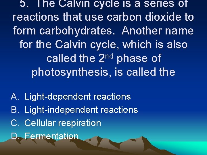 5. The Calvin cycle is a series of reactions that use carbon dioxide to