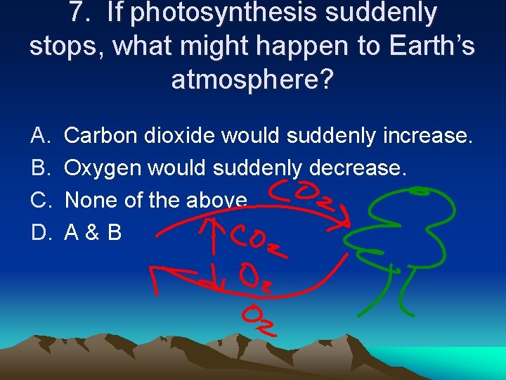 7. If photosynthesis suddenly stops, what might happen to Earth’s atmosphere? A. B. C.