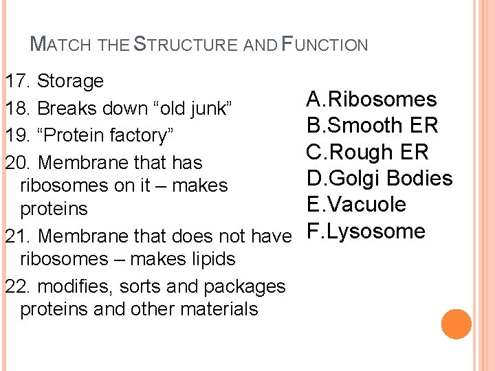 MATCH THE STRUCTURE AND FUNCTION 17. Storage 18. Breaks down “old junk” 19. “Protein