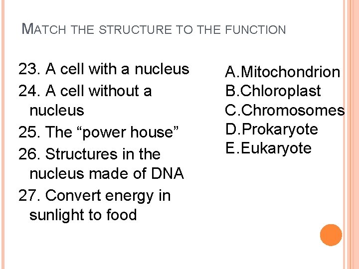 MATCH THE STRUCTURE TO THE FUNCTION 23. A cell with a nucleus 24. A