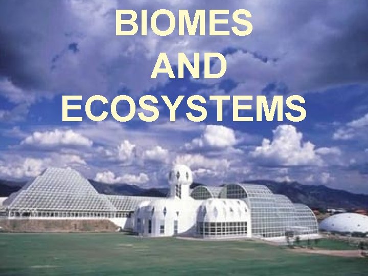 BIOMES AND ECOSYSTEMS 