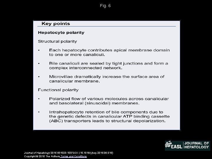 Fig. 6 Journal of Hepatology 2015 631023 -1037 DOI: (10. 1016/j. jhep. 2015. 06.