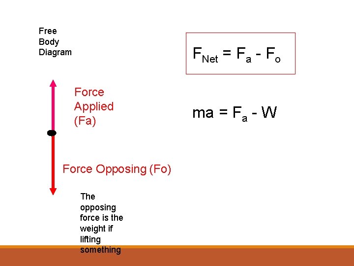 Free Body Diagram FNet = Fa - Fo Force Applied (Fa) Force Opposing (Fo)