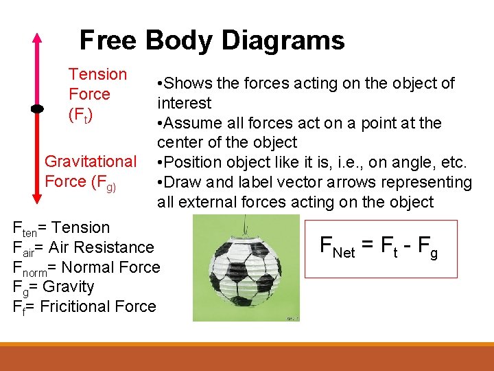 Free Body Diagrams Tension Force (Ft) Gravitational Force (Fg) • Shows the forces acting