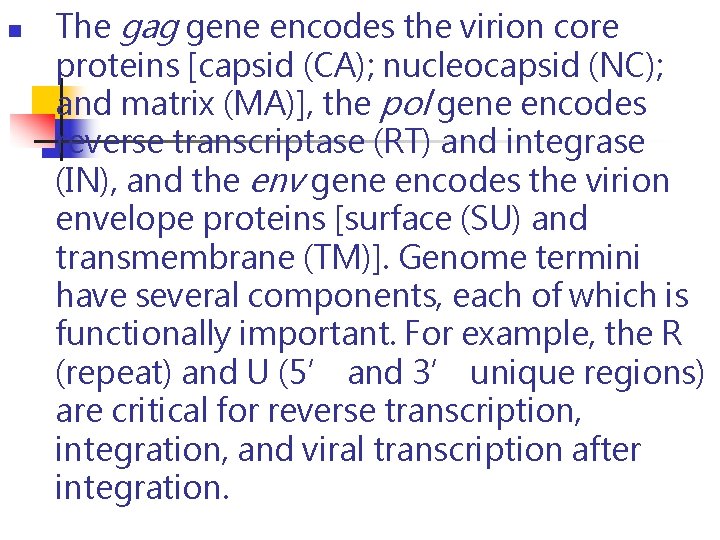 n The gag gene encodes the virion core proteins [capsid (CA); nucleocapsid (NC); and n The gag gene encodes the virion core proteins [capsid (CA); nucleocapsid (NC); and
