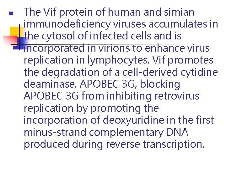 n The Vif protein of human and simian immunodeficiency viruses accumulates in the cytosol n The Vif protein of human and simian immunodeficiency viruses accumulates in the cytosol