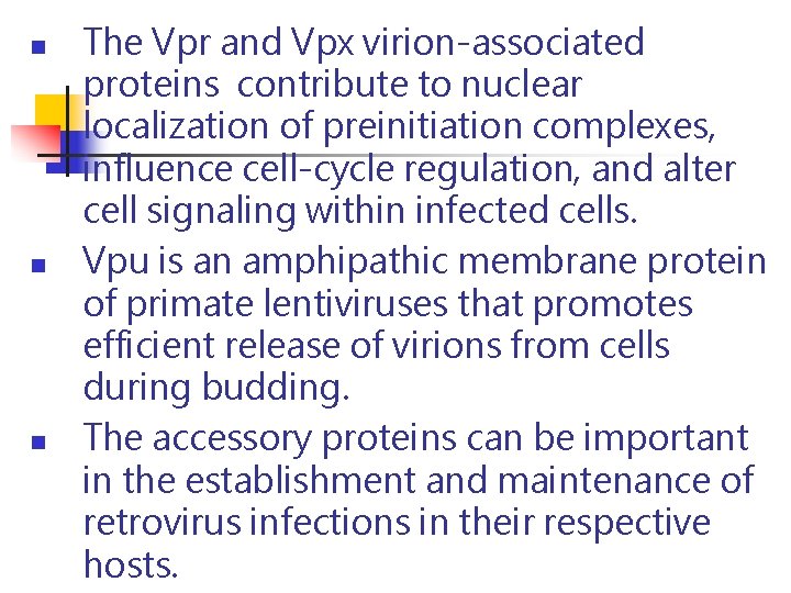n n n The Vpr and Vpx virion-associated proteins contribute to nuclear localization of n n n The Vpr and Vpx virion-associated proteins contribute to nuclear localization of