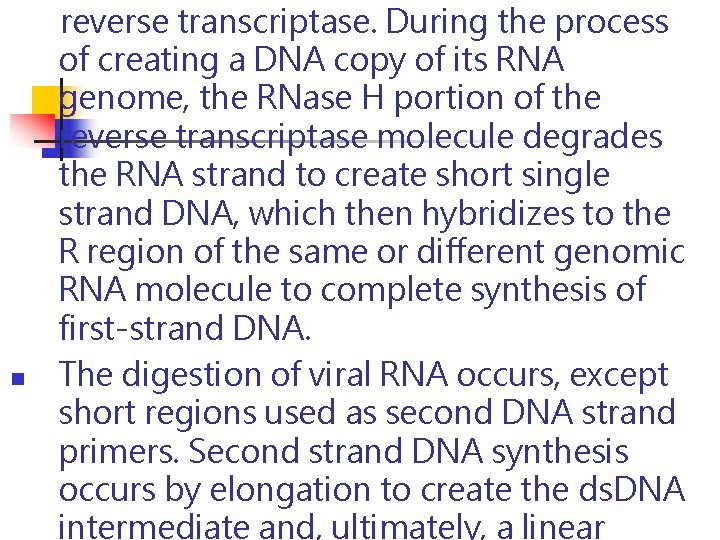 n reverse transcriptase. During the process of creating a DNA copy of its RNA n reverse transcriptase. During the process of creating a DNA copy of its RNA