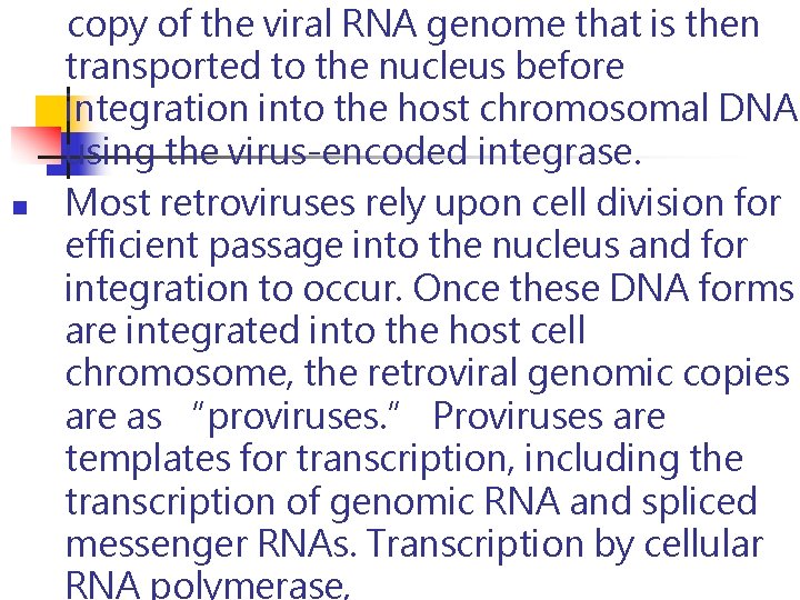 n copy of the viral RNA genome that is then transported to the nucleus n copy of the viral RNA genome that is then transported to the nucleus