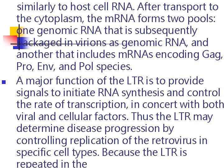 n similarly to host cell RNA. After transport to the cytoplasm, the m. RNA n similarly to host cell RNA. After transport to the cytoplasm, the m. RNA