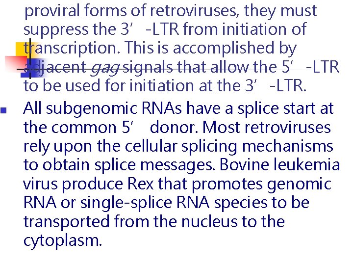n proviral forms of retroviruses, they must suppress the 3’-LTR from initiation of transcription. n proviral forms of retroviruses, they must suppress the 3’-LTR from initiation of transcription.