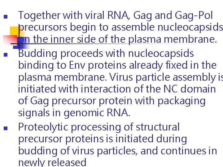 n n n Together with viral RNA, Gag and Gag-Pol precursors begin to assemble n n n Together with viral RNA, Gag and Gag-Pol precursors begin to assemble
