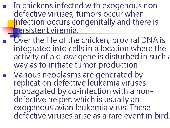 n n n In chickens infected with exogenous nondefective viruses, tumors occur when infection n n n In chickens infected with exogenous nondefective viruses, tumors occur when infection