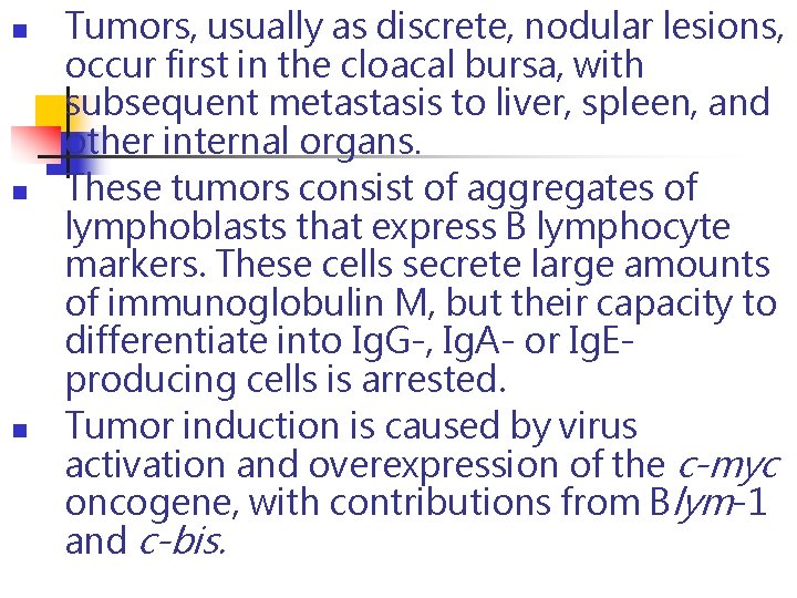 n n n Tumors, usually as discrete, nodular lesions, occur first in the cloacal n n n Tumors, usually as discrete, nodular lesions, occur first in the cloacal