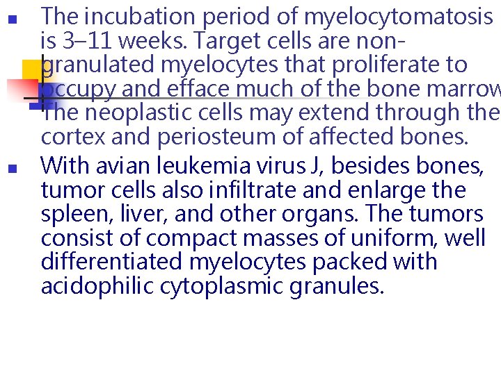 n n The incubation period of myelocytomatosis is 3– 11 weeks. Target cells are n n The incubation period of myelocytomatosis is 3– 11 weeks. Target cells are