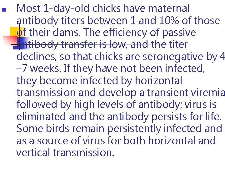 n Most 1 -day-old chicks have maternal antibody titers between 1 and 10% of n Most 1 -day-old chicks have maternal antibody titers between 1 and 10% of