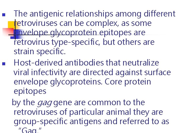 n n The antigenic relationships among different retroviruses can be complex, as some envelope n n The antigenic relationships among different retroviruses can be complex, as some envelope