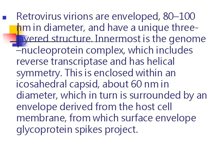 n Retrovirus virions are enveloped, 80– 100 nm in diameter, and have a unique n Retrovirus virions are enveloped, 80– 100 nm in diameter, and have a unique