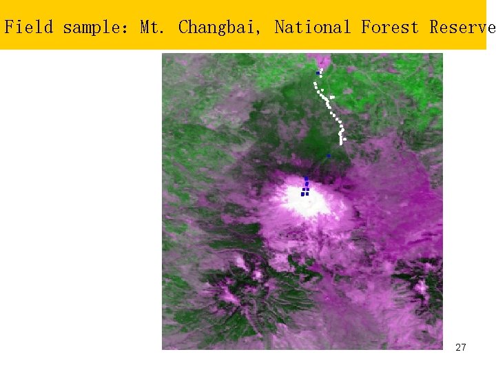 Field sample：Mt. Changbai, National Forest Reserve 27 