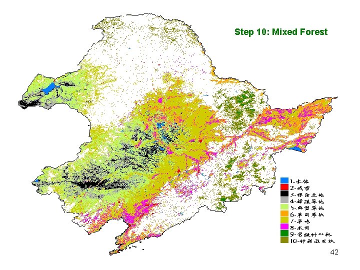 Step 10: Mixed Forest 42 