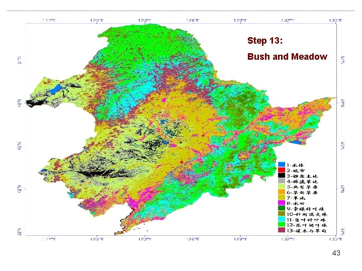 Step 13: Bush and Meadow 43 